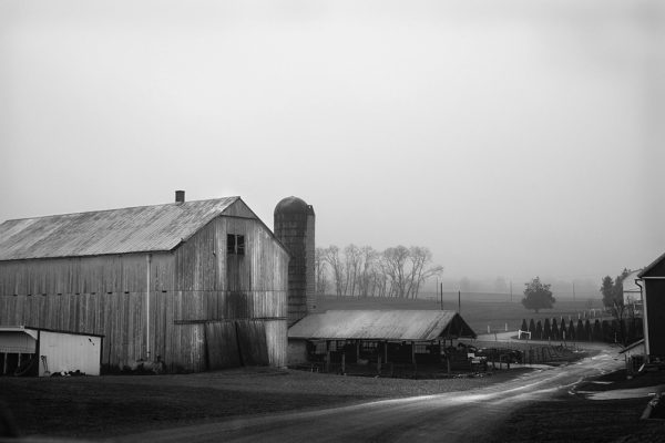 rural-scape-Amish-Farm-39